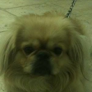 Meet your Posher, Aisha